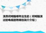 演员何明翰哪年出生的（何明翰演过的电视剧有哪些简介介绍）