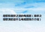 胡歌和章龄之演的电视剧（章龄之胡歌演的是什么电视剧简介介绍）