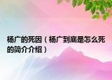 杨广的死因（杨广到底是怎么死的简介介绍）