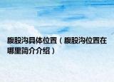 腹股沟具体位置（腹股沟位置在哪里简介介绍）