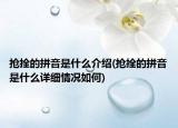 抢拴的拼音是什么介绍(抢拴的拼音是什么详细情况如何)