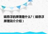 磁悬浮的原理是什么?（磁悬浮原理简介介绍）
