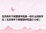 北京青年干部管理学院是一所什么样的学校（北京青年干部管理学院简介介绍）