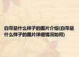 白带是什么样子的图片介绍(白带是什么样子的图片详细情况如何)