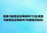 报喜鸟股票是蓝筹股吗?介绍(报喜鸟股票是蓝筹股吗?详细情况如何)