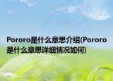 Pororo是什么意思介绍(Pororo是什么意思详细情况如何)