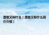 湿地又叫什么（湿地又称什么简介介绍）