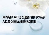 草坪砖CAD怎么画介绍(草坪砖CAD怎么画详细情况如何)