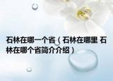 石林在哪一个省（石林在哪里 石林在哪个省简介介绍）