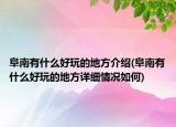 阜南有什么好玩的地方介绍(阜南有什么好玩的地方详细情况如何)