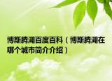 博斯腾湖百度百科（博斯腾湖在哪个城市简介介绍）