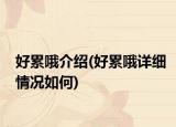 好累哦介绍(好累哦详细情况如何)