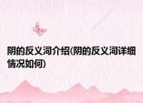 阴的反义泀介绍(阴的反义泀详细情况如何)