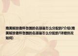 南美解放者杯各国的名额是怎么分配的?介绍(南美解放者杯各国的名额是怎么分配的?详细情况如何)