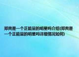 郑爽是一个正能量的明星吗介绍(郑爽是一个正能量的明星吗详细情况如何)
