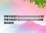 特等功包括什么\\\\\\\\\介绍(特等功包括什么\\\\\\\\\详细情况如何)