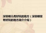 深圳哪儿有好玩的地方（深圳哪里有好玩的地方简介介绍）