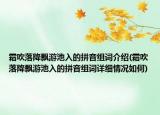 霜吹落降飘游池入的拼音组词介绍(霜吹落降飘游池入的拼音组词详细情况如何)