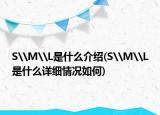S\M\L是什么介绍(S\M\L是什么详细情况如何)