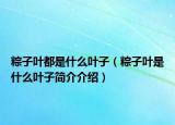 粽子叶都是什么叶子（粽子叶是什么叶子简介介绍）