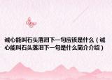 诚心能叫石头落泪下一句应该是什么（诚心能叫石头落泪下一句是什么简介介绍）