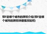 鄂F是哪个城市的牌照介绍(鄂F是哪个城市的牌照详细情况如何)