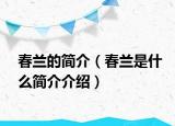 春兰的简介（春兰是什么简介介绍）