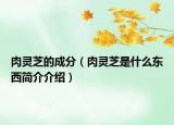 肉灵芝的成分（肉灵芝是什么东西简介介绍）