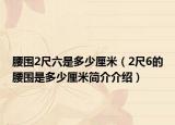 腰围2尺六是多少厘米（2尺6的腰围是多少厘米简介介绍）