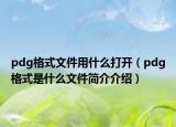 pdg格式文件用什么打开（pdg格式是什么文件简介介绍）