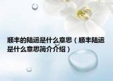 顺丰的陆运是什么意思（顺丰陆运是什么意思简介介绍）
