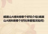 峨眉山A线B线哪个好玩介绍(峨眉山A线B线哪个好玩详细情况如何)