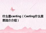 什么是casting（Casting什么意思简介介绍）