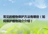 常见的植物保护方法有哪些（如何保护植物简介介绍）