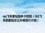 qq飞车紫钻加多少经验（QQ飞车的紫钻怎么升级简介介绍）