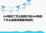dnf帕拉丁怎么加速介绍(dnf帕拉丁怎么加速详细情况如何)