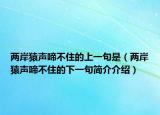 两岸猿声啼不住的上一句是（两岸猿声啼不住的下一句简介介绍）