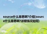 source什么意思啊?介绍(source什么意思啊?详细情况如何)