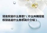冠名权是什么意思?（什么叫做冠名权冠名是什么意思简介介绍）