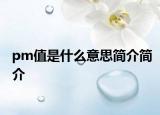 pm值是什么意思简介简介