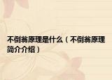 不倒翁原理是什么（不倒翁原理简介介绍）