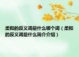 柔和的反义词是什么哪个词（柔和的反义词是什么简介介绍）