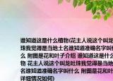 谁知道这是什么植物(花主人说这个叫龙吐珠我觉得是当地土名谁知道准确名字叫什么 附图是花和叶子介绍 谁知道这是什么植物 花主人说这个叫龙吐珠我觉得是当地土名谁知道准确名字叫什么 附图是花和叶子详细情况如何)