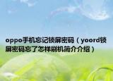 oppo手机忘记锁屏密码（yoord锁屏密码忘了怎样刷机简介介绍）