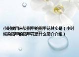 小时候用来染指甲的指甲花其实是（小时候染指甲的指甲花是什么简介介绍）