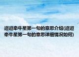 迢迢牵牛星第一句的意思介绍(迢迢牵牛星第一句的意思详细情况如何)