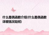 什么是偶函数介绍(什么是偶函数详细情况如何)