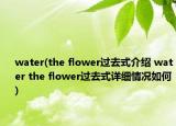 water(the flower过去式介绍 water the flower过去式详细情况如何)