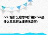ccer是什么意思啊介绍(ccer是什么意思啊详细情况如何)