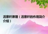 活塞杆原理（活塞杆的作用简介介绍）